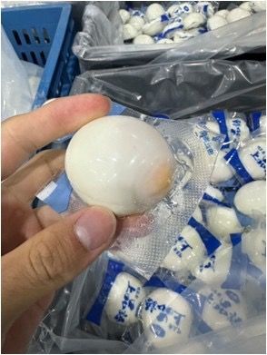 BTM 拉伸膜真空包裝機系列